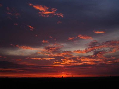 DSC09094.jpg