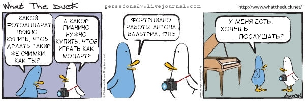duck.jpeg