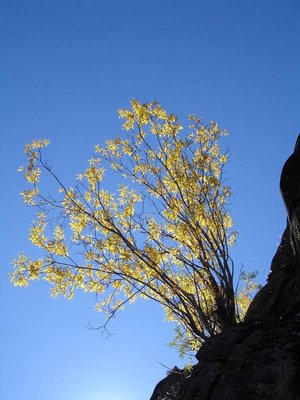 DSC04590.jpg