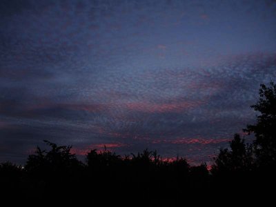 DSC08621.jpg